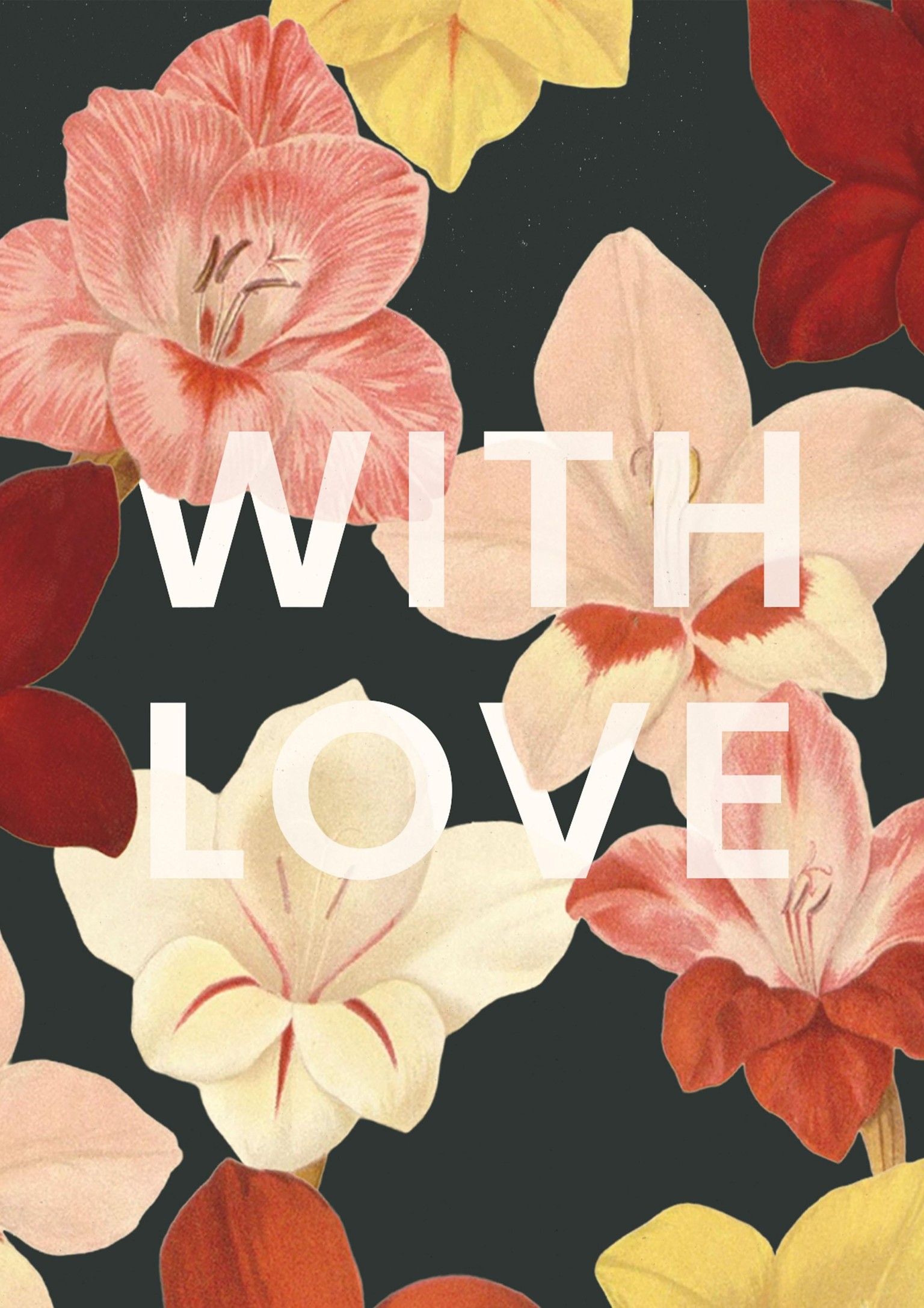 Gladiolus With Love Card - image 7 - student project