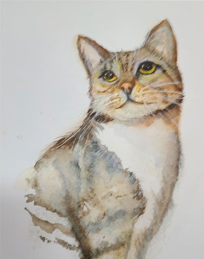 This damn cat - image 1 - student project