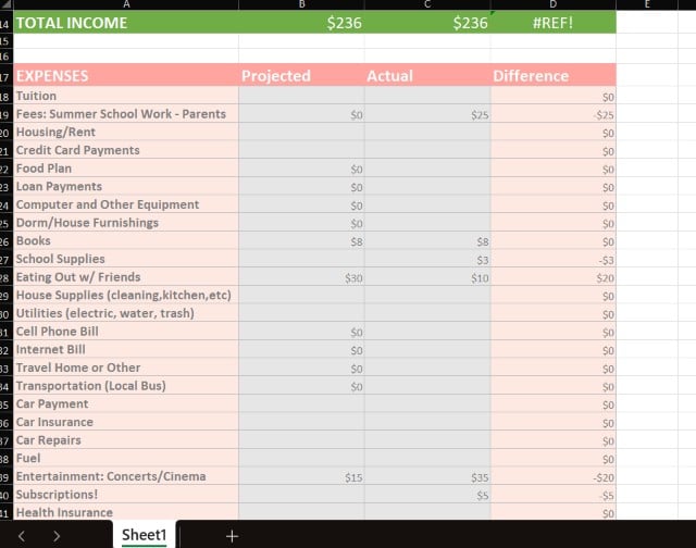 Monthly Budget Draft for Month of June - image 2 - student project