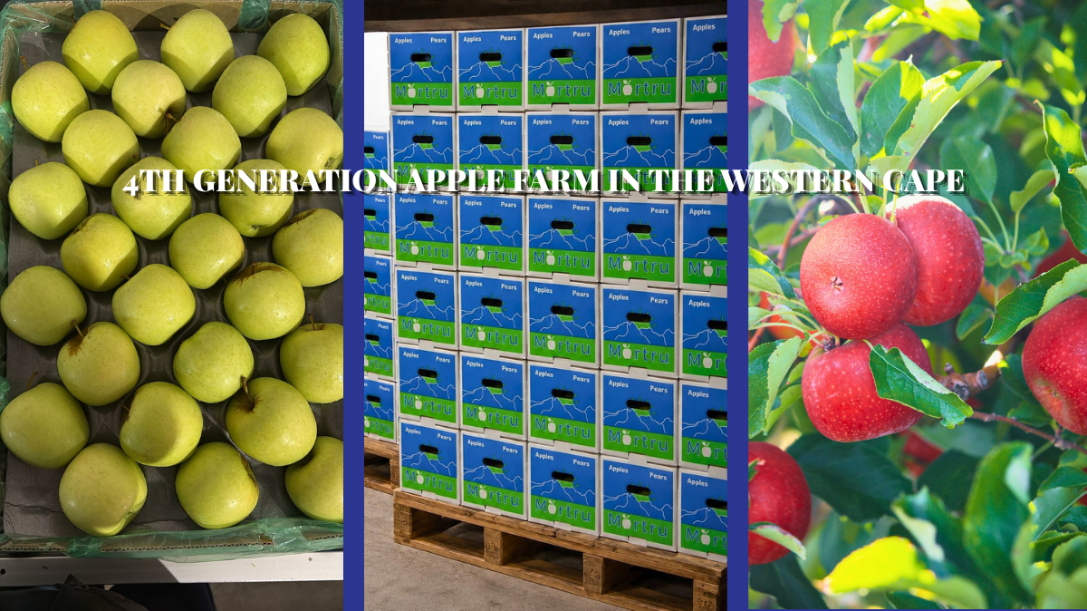 Mortru Farming Facebook Cover - image 1 - student project