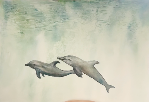 Dancing Dolphins - image 1 - student project