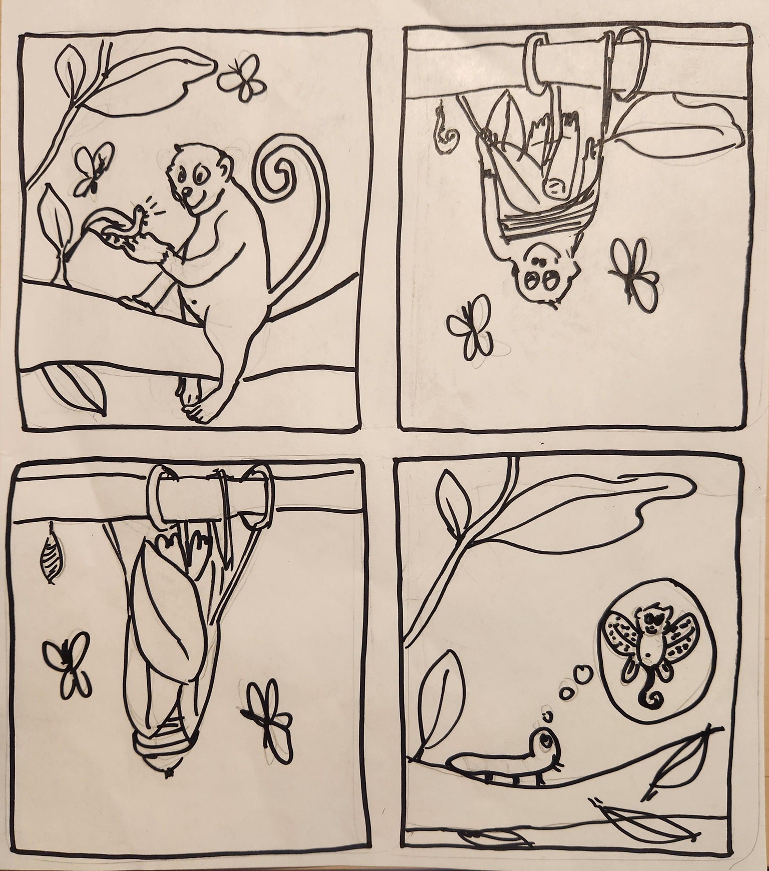 Metamorphosis of a Monkey - image 1 - student project