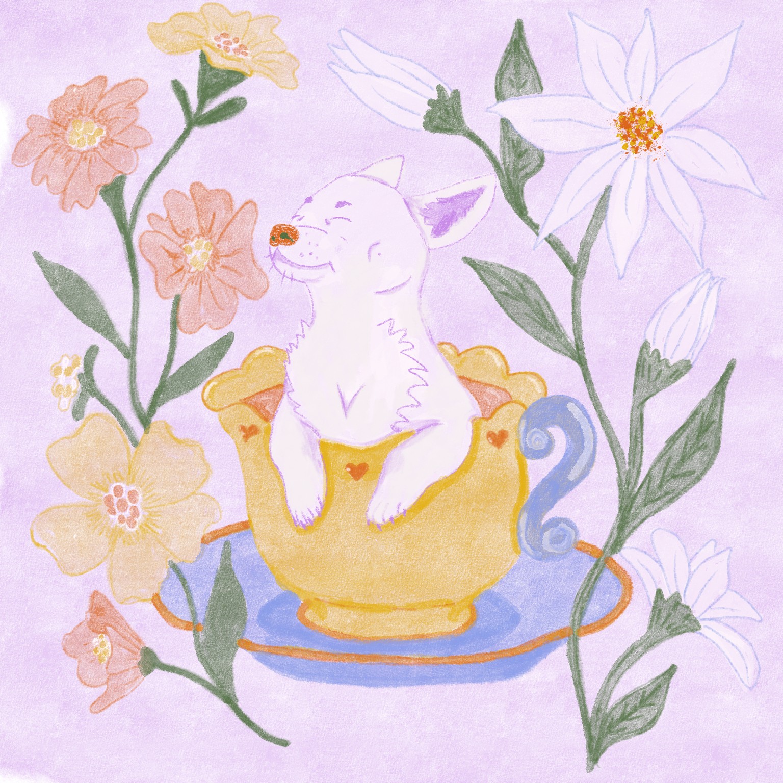 Teacup Chihuahua - image 1 - student project