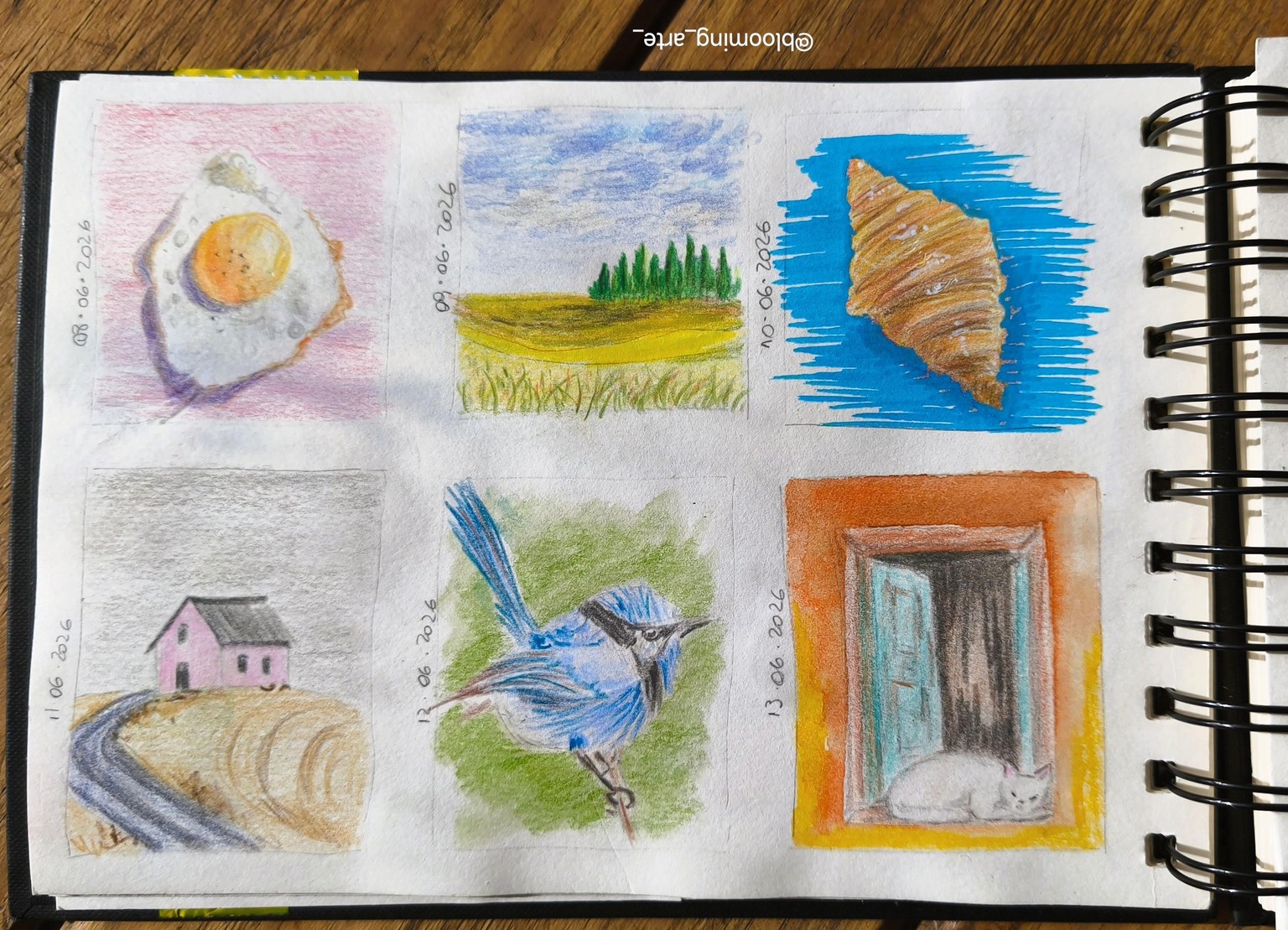 5 Minute Sketches: Colored Pencil Thumbnails for Better Paintings - image 1 - student project