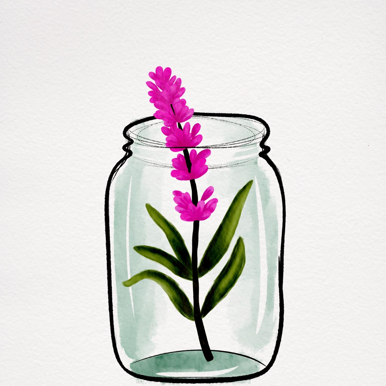 Beautiful jars - image 1 - student project