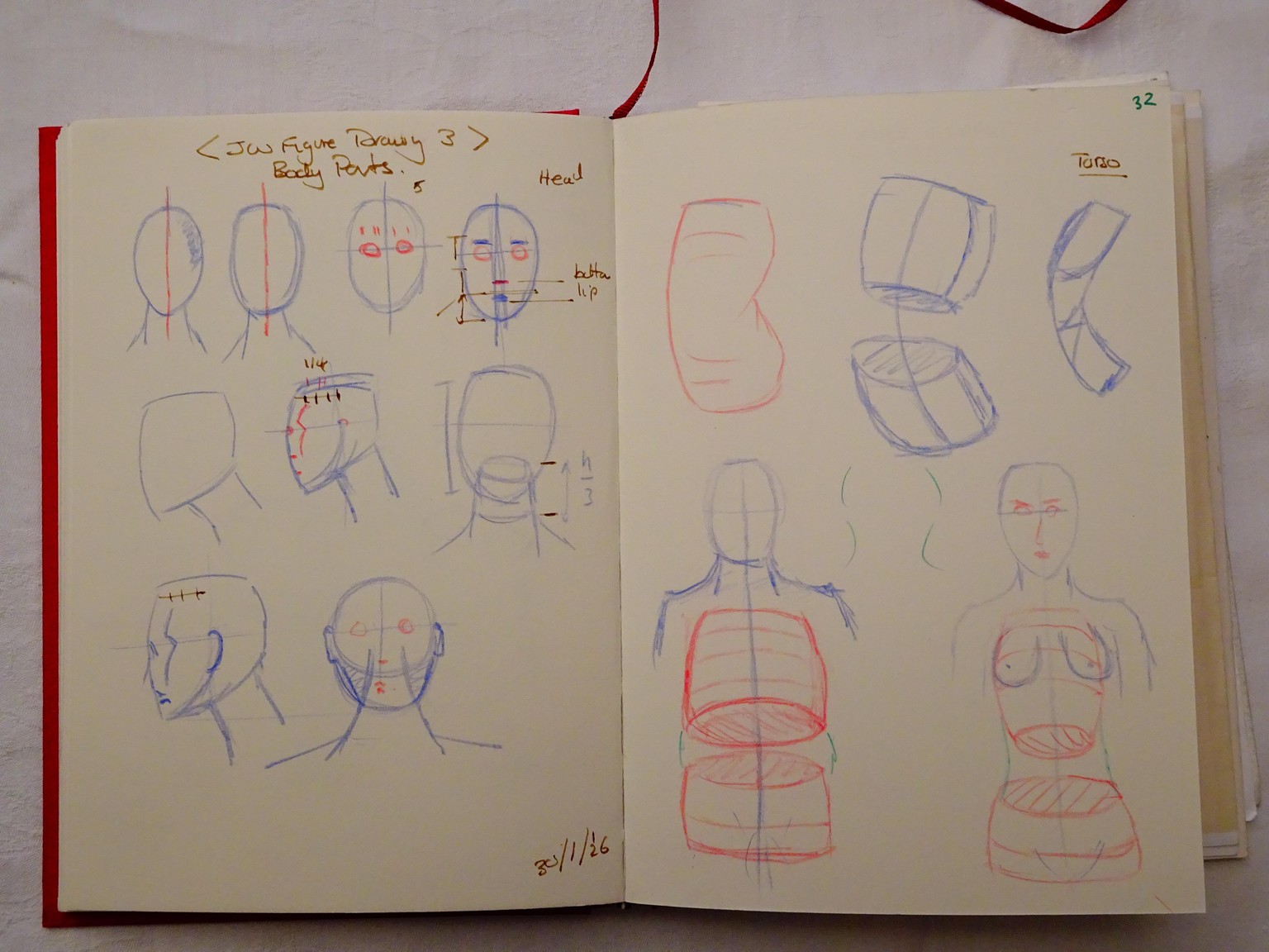A collection of body parts - image 2 - student project