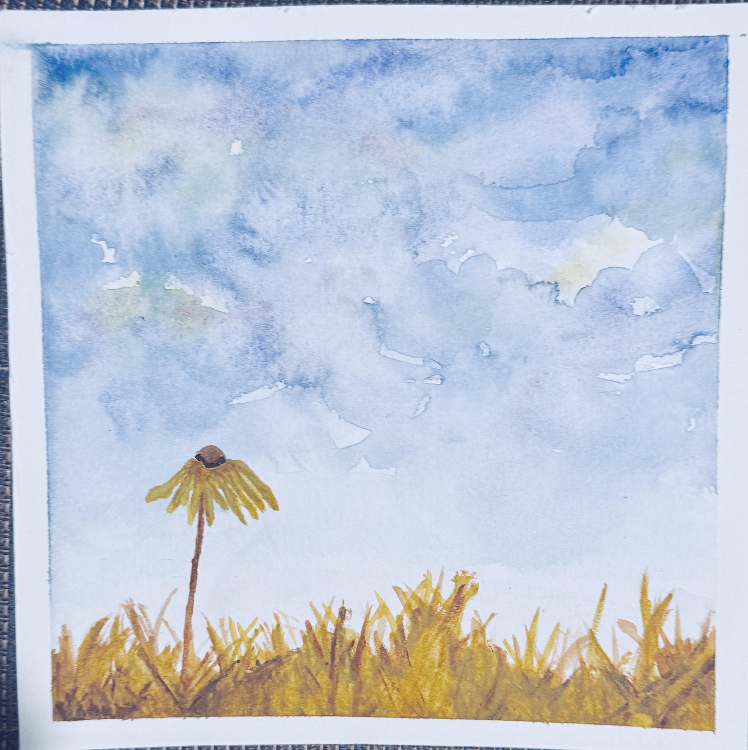 Flower-Sky Mini-Landscape - image 1 - student project