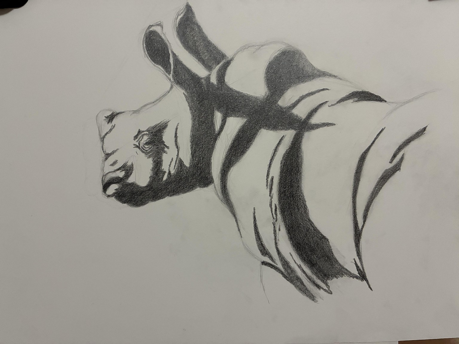 Baby Rihno in Blended Graphite - image 2 - student project