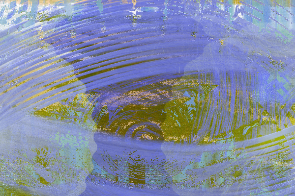 d - image 1 - student project