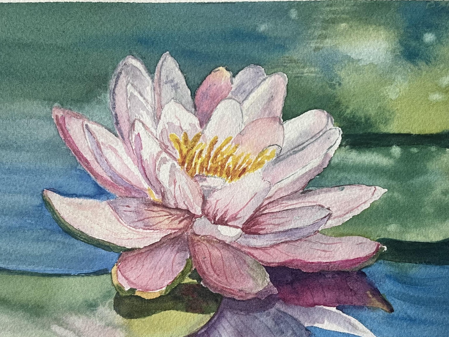 Water Lily - image 1 - student project
