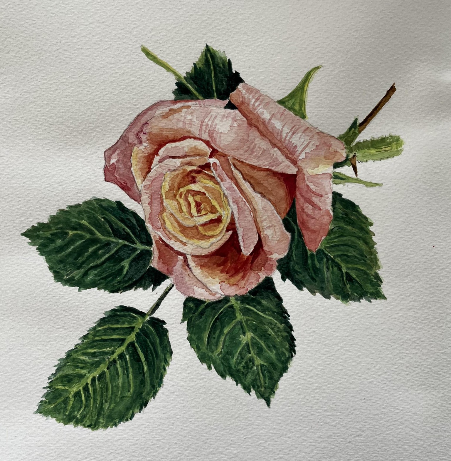 Rose 2026 - image 1 - student project