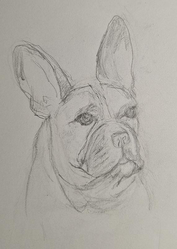 French Bulldog Portrait - image 1 - student project