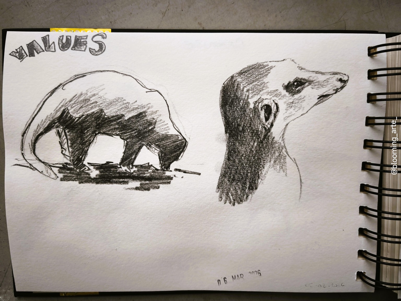 Pencil Sketching: quick and loose animals - image 7 - student project