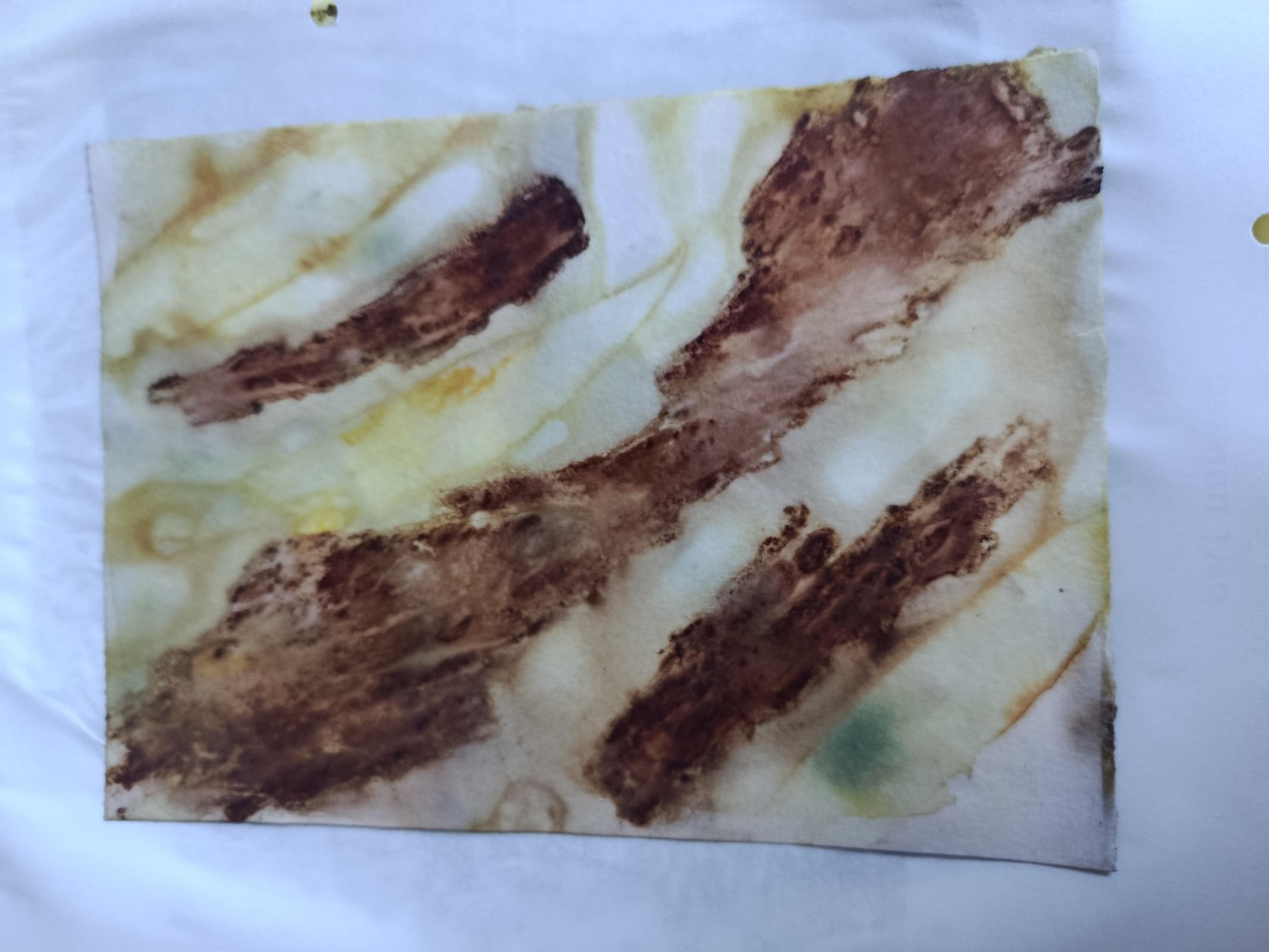 Eco-dyeing on paper - image 3 - student project