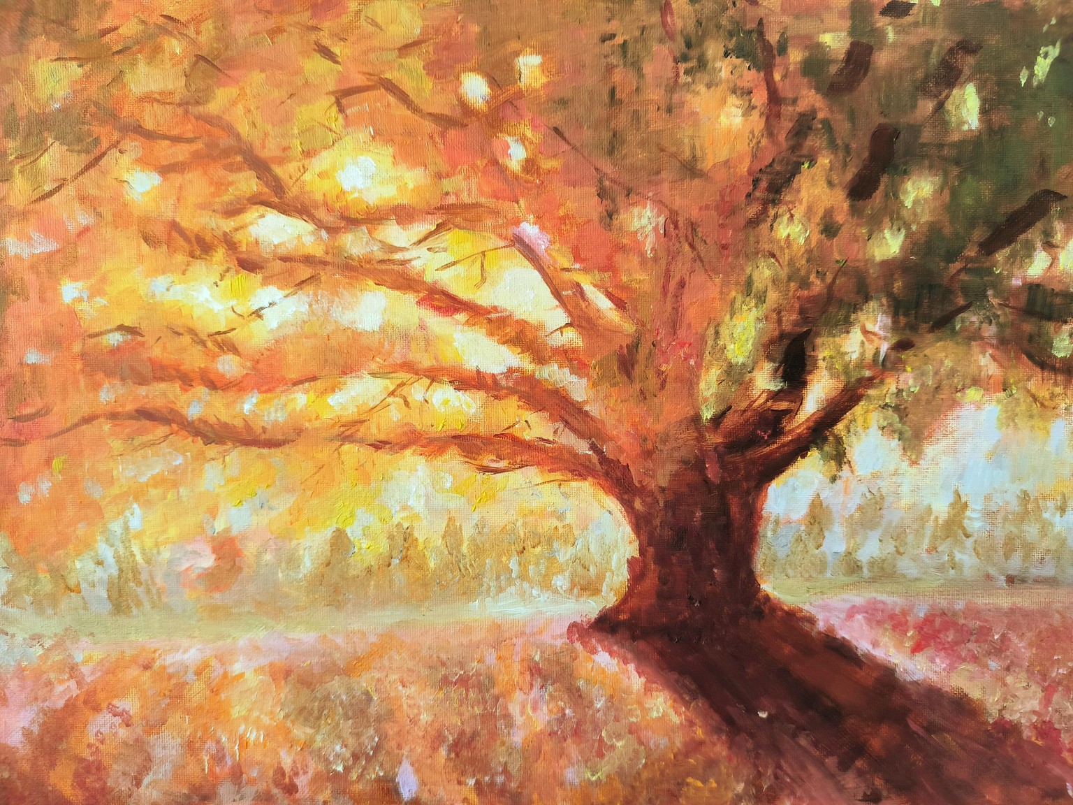 Sunset in Autumn - image 1 - student project