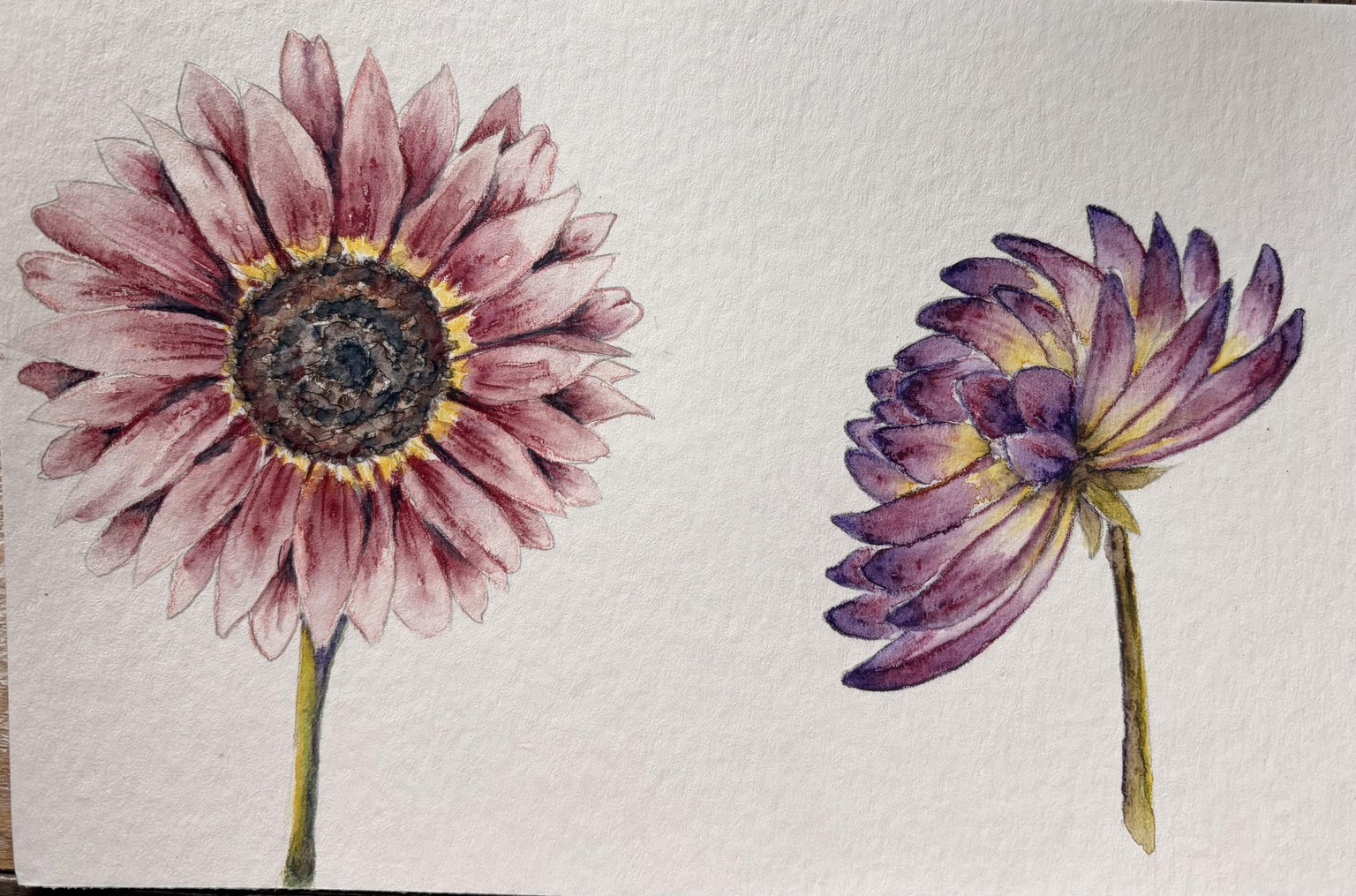 Watercolor Pencils ~ Fantastic Class 🩵 - image 2 - student project