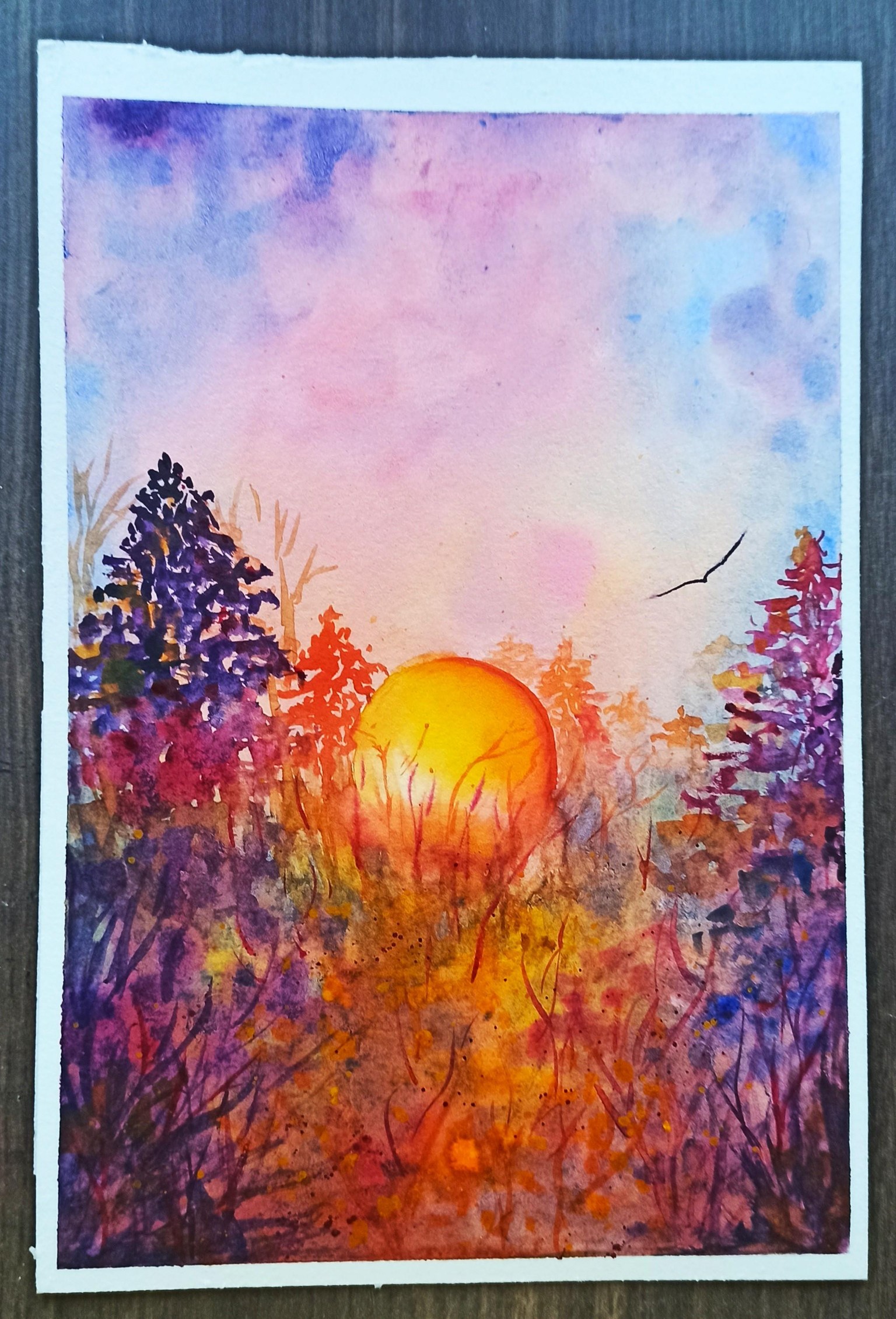 SUNRISE 3 COLORS - image 1 - student project