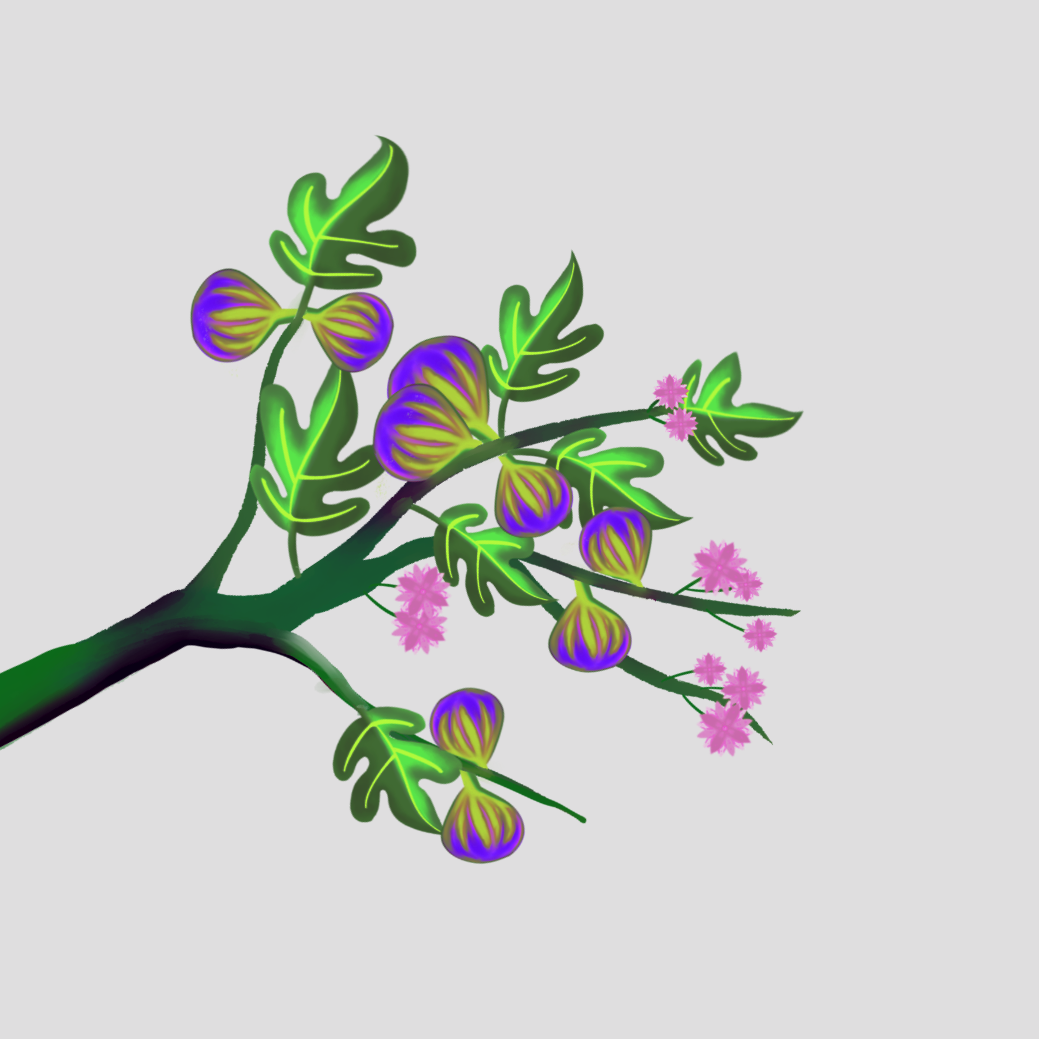 Fig branch - image 1 - student project