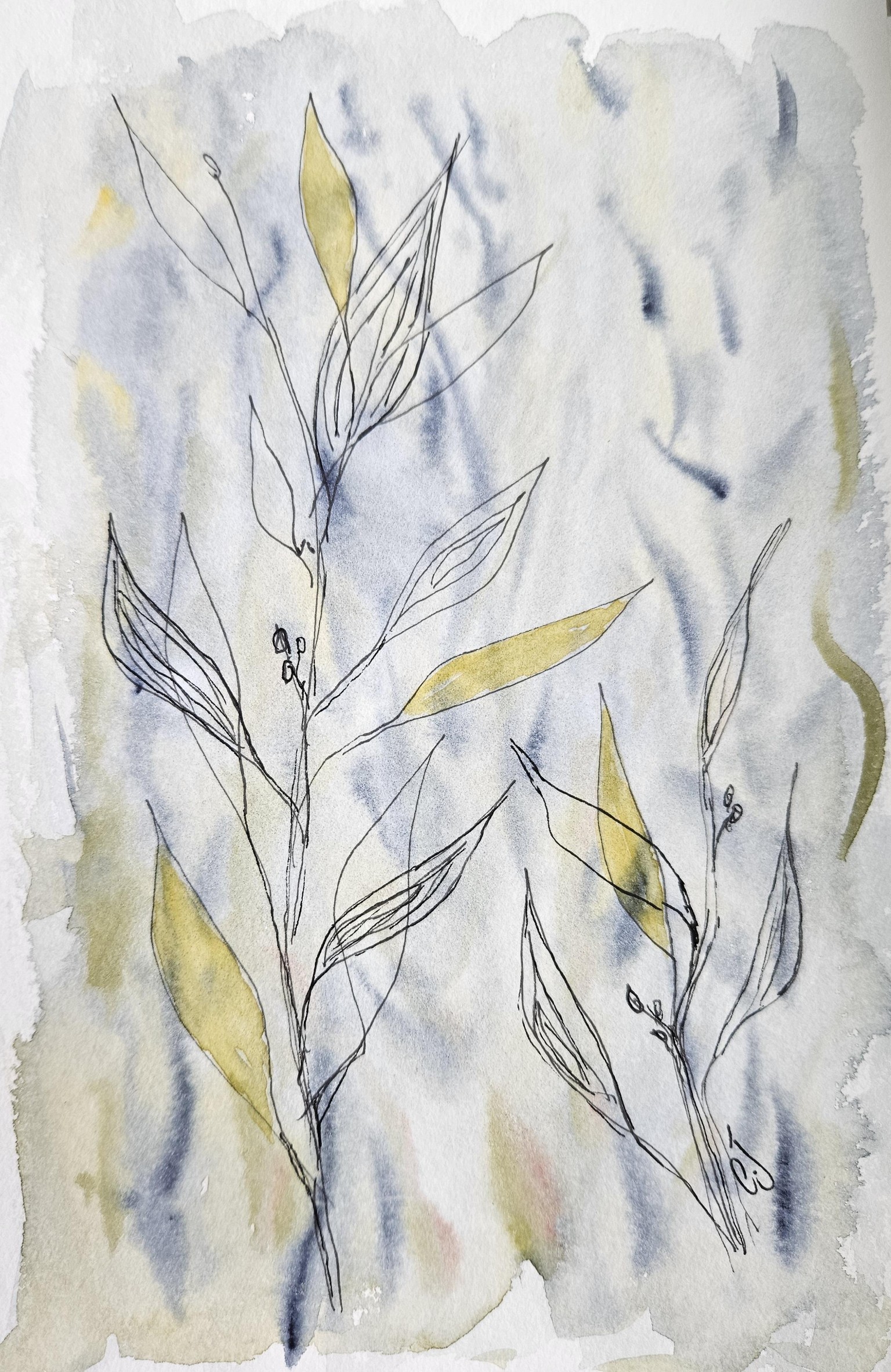 Botanical w/c and ink - image 3 - student project