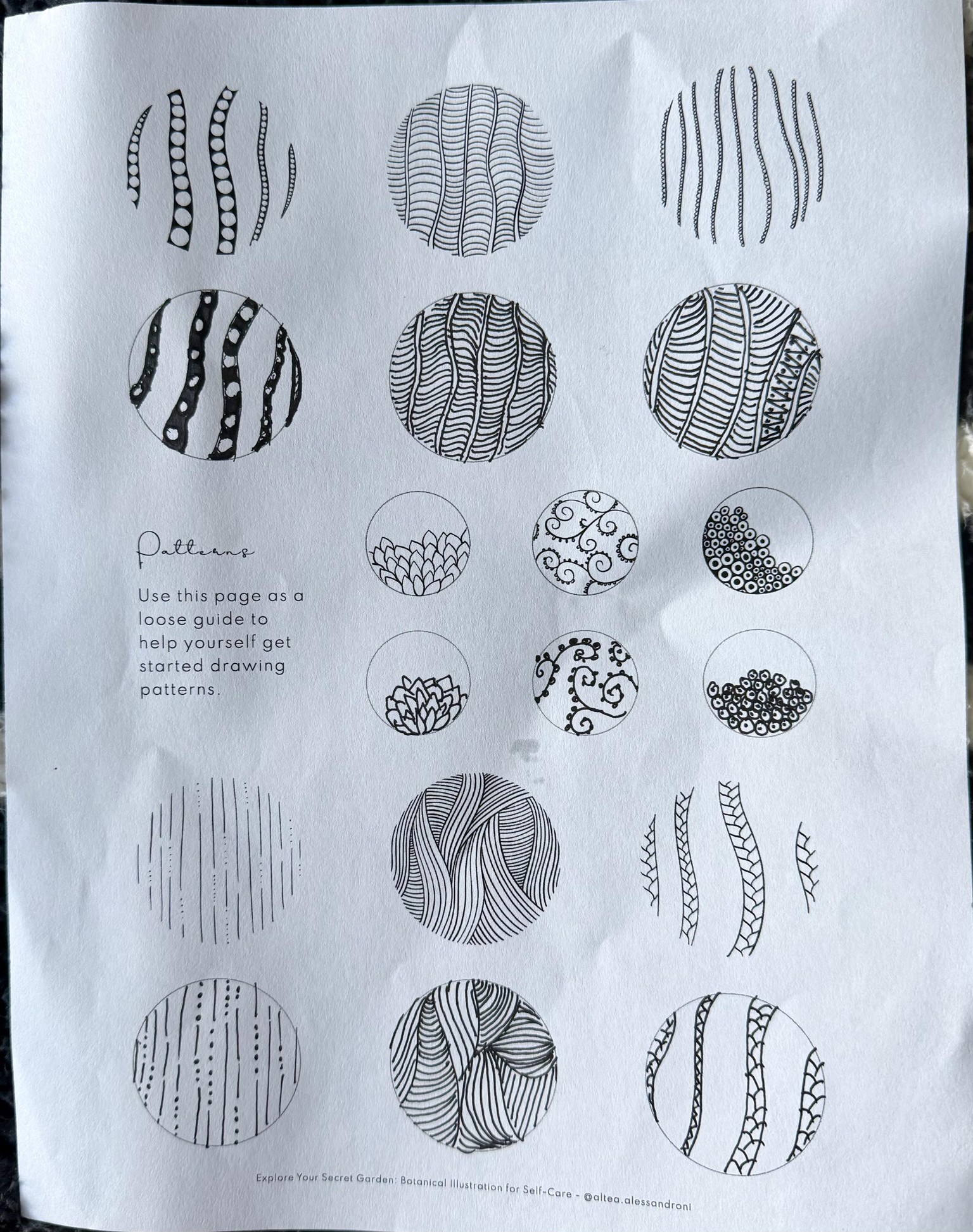 Botanical Illustrations - image 1 - student project