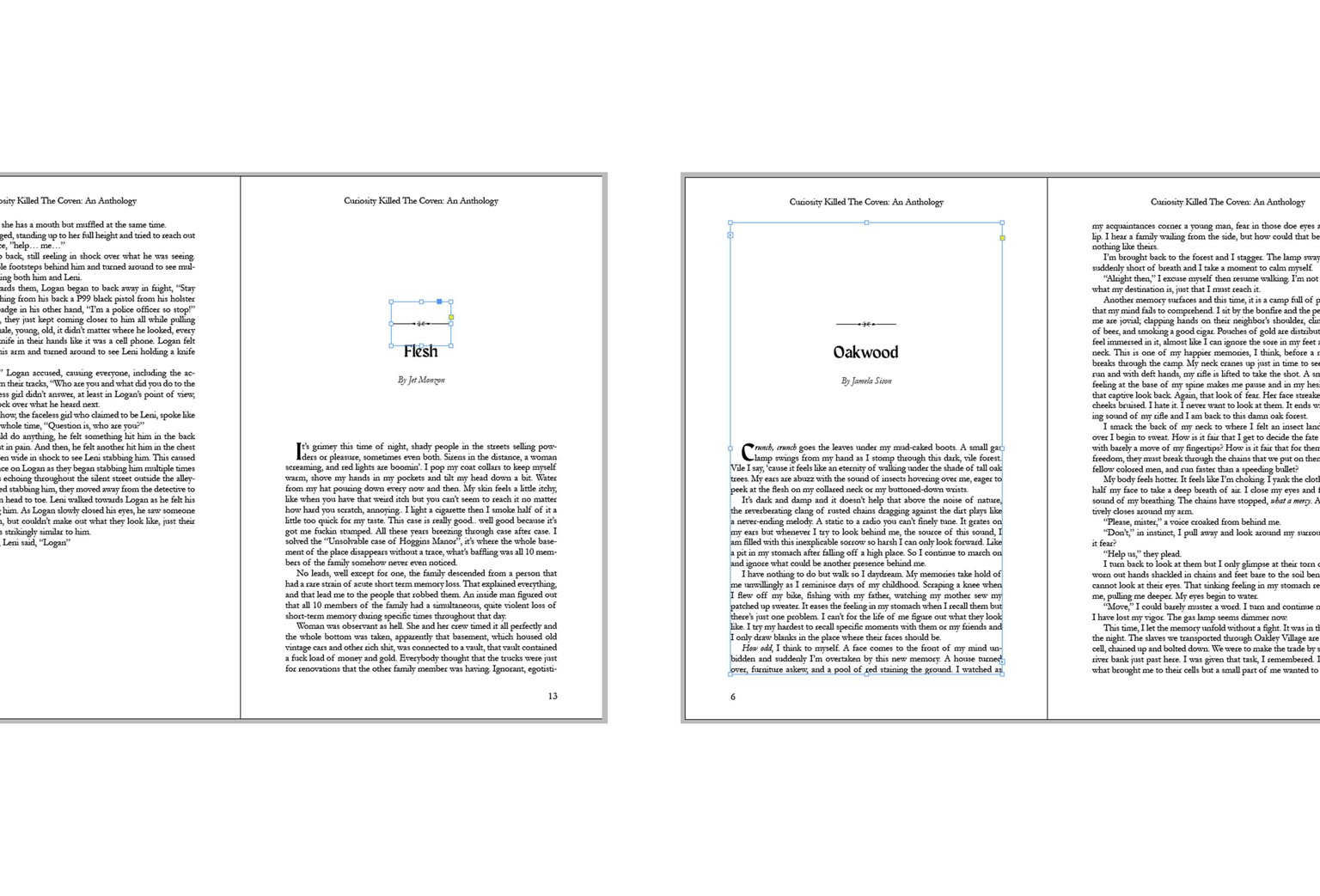 Curiosity Killed the Coven: An Anthology - image 3 - student project