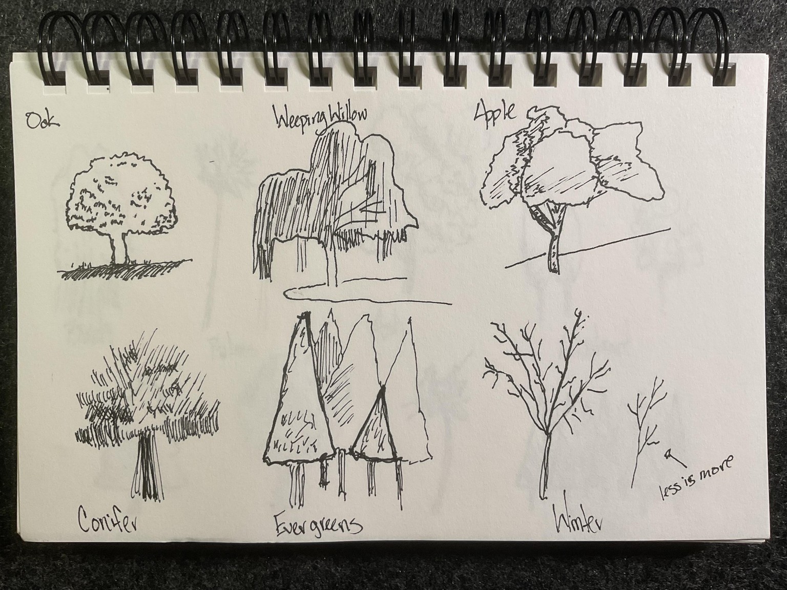 More Trees - image 1 - student project