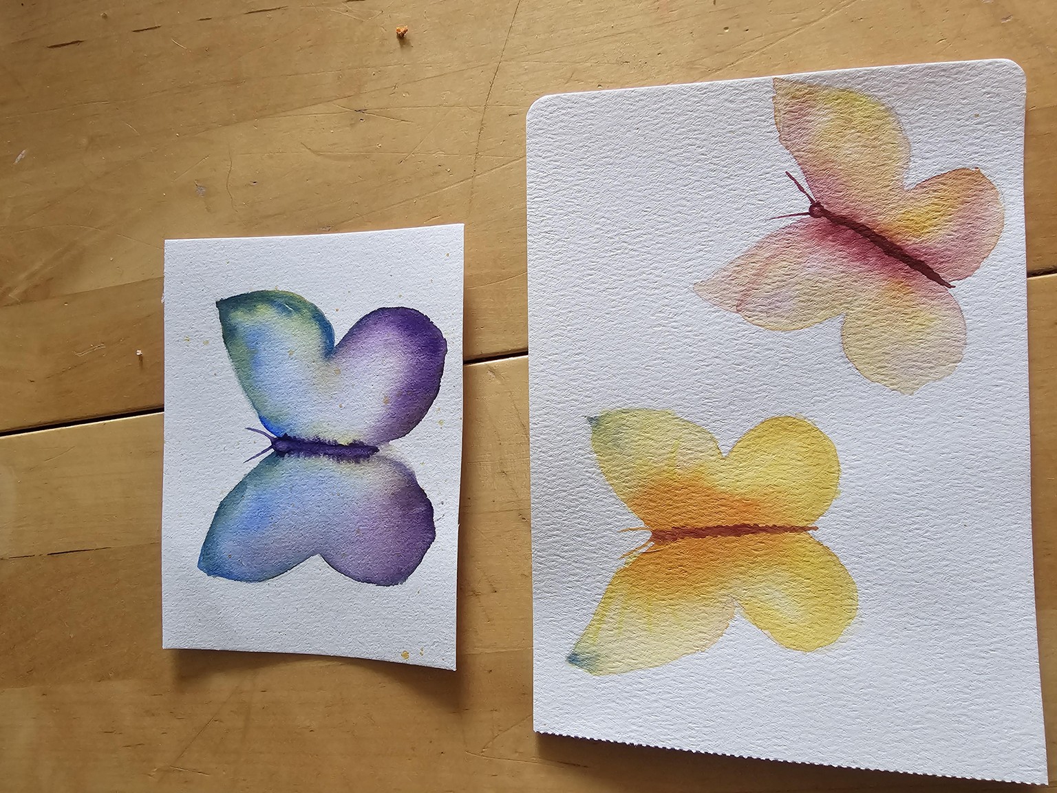 butterflies - image 1 - student project