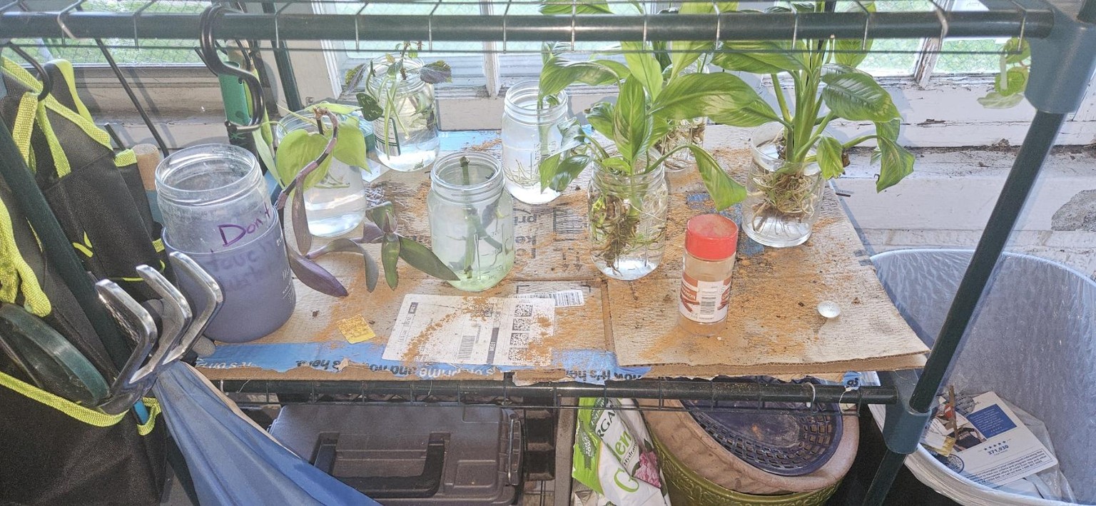 zone 6b - image 1 - student project