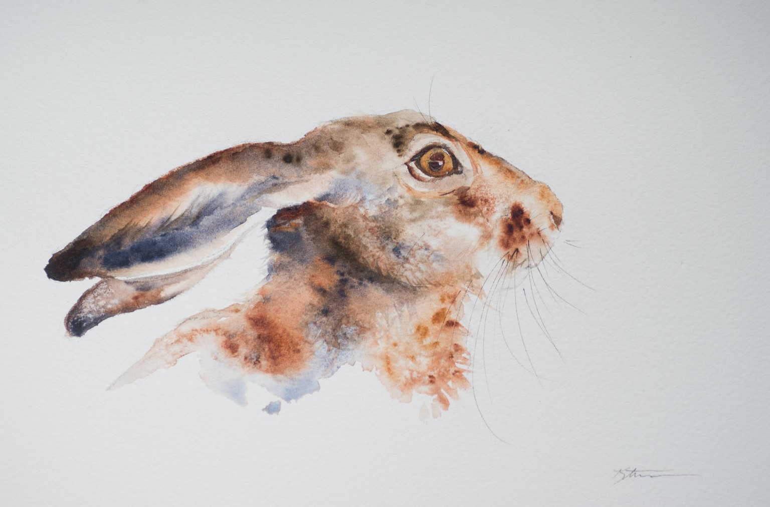 K's Summer Hare - image 1 - student project