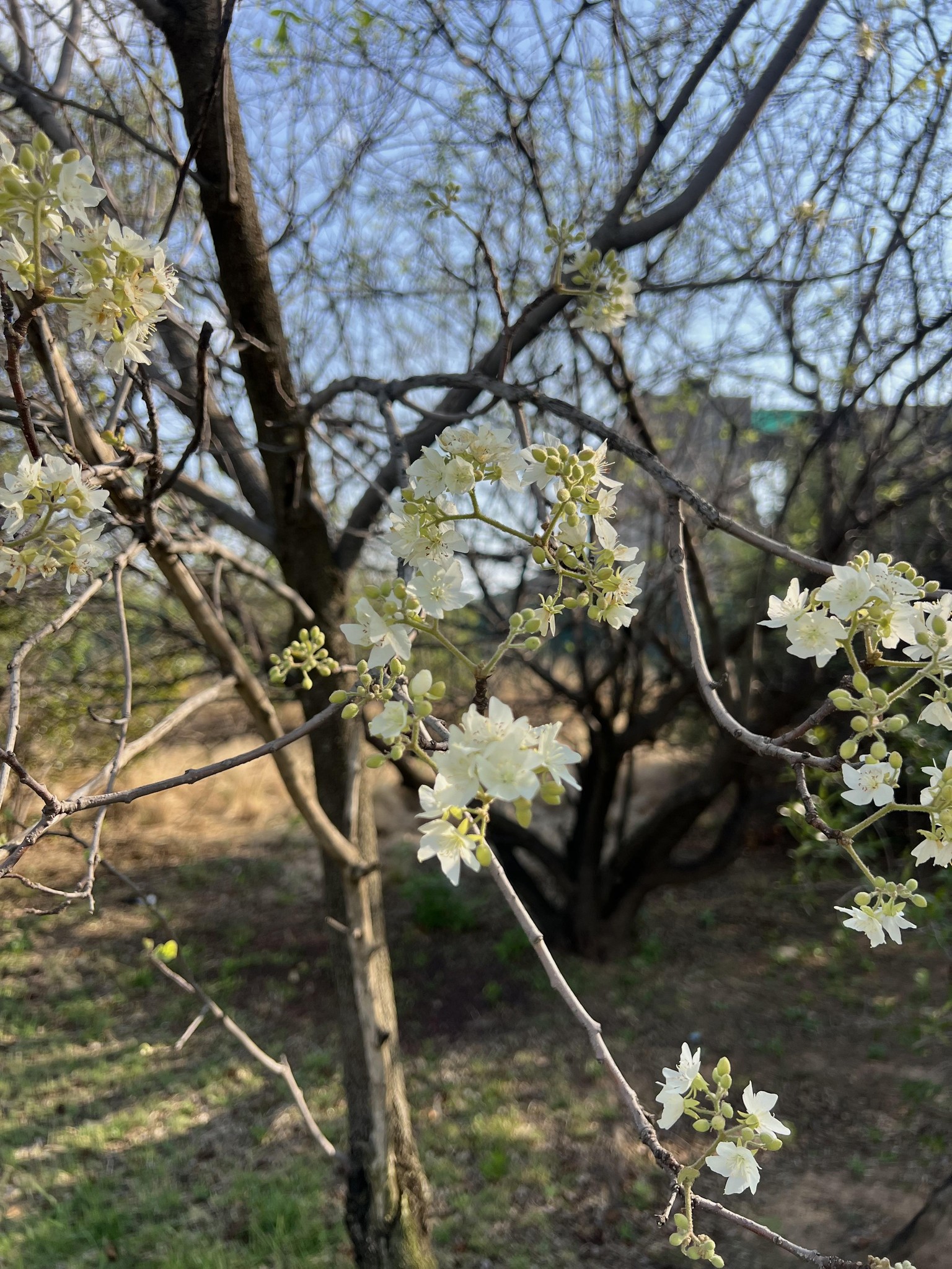 A beautiful spring afternoon walk - image 6 - student project