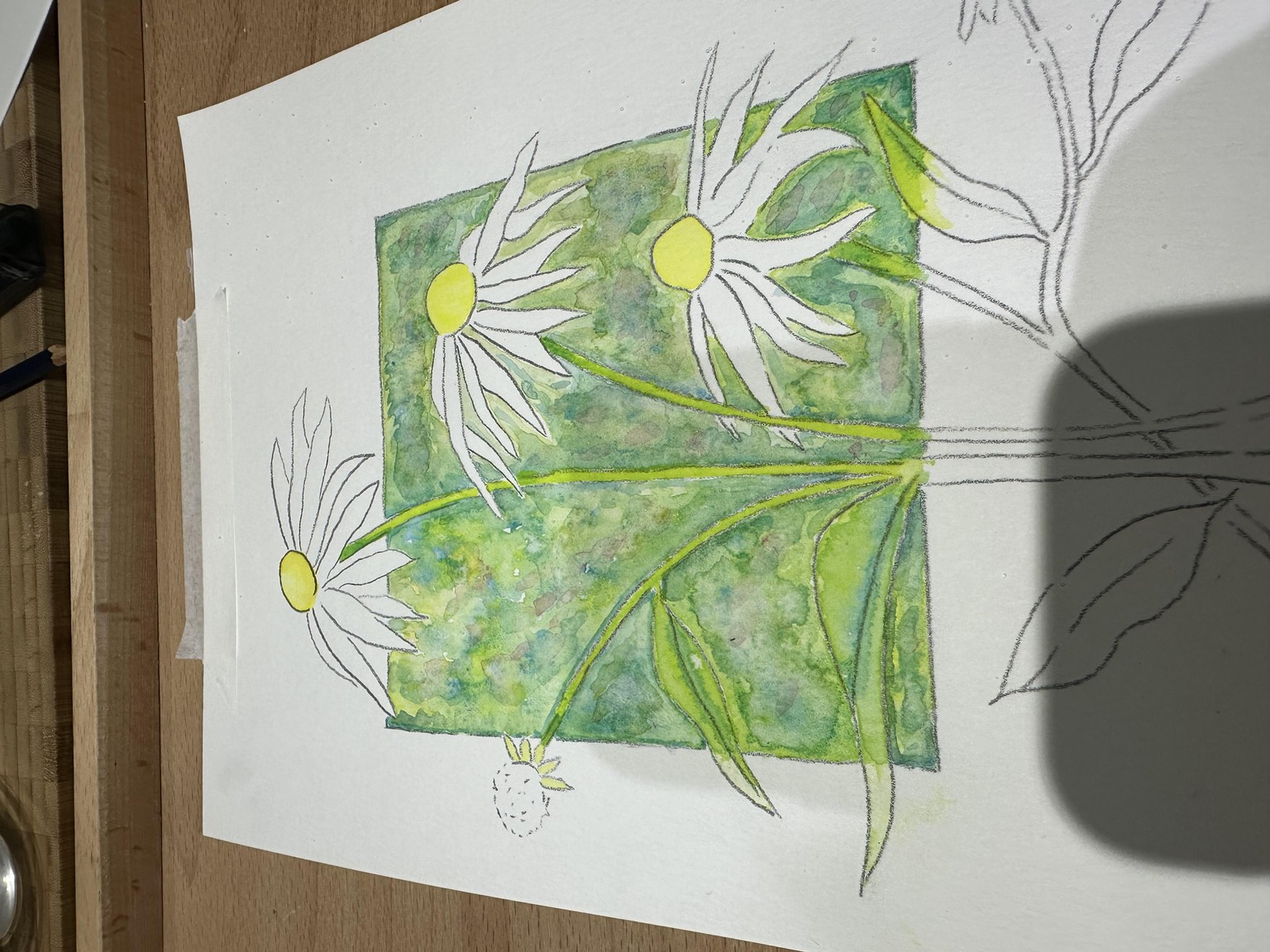 Echinacea - image 3 - student project