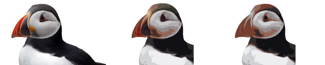 Puffin Creative - image 1 - student project