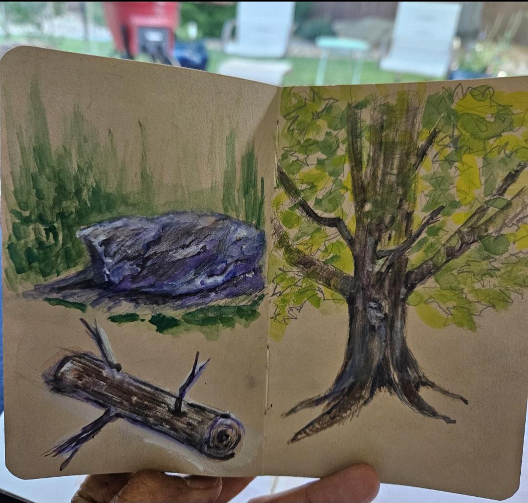 Rocks & Trees - image 1 - student project