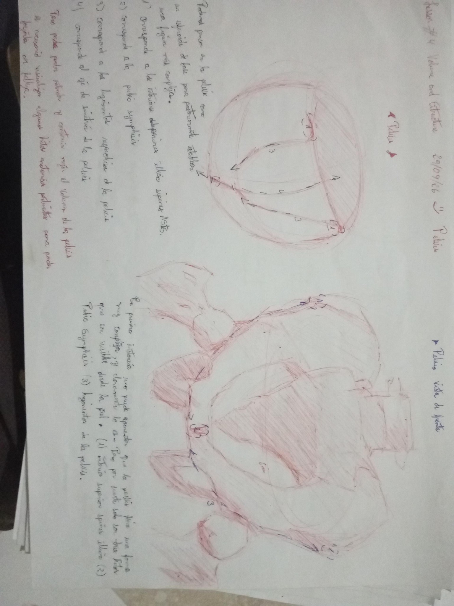 Volumen and structure - image 7 - student project