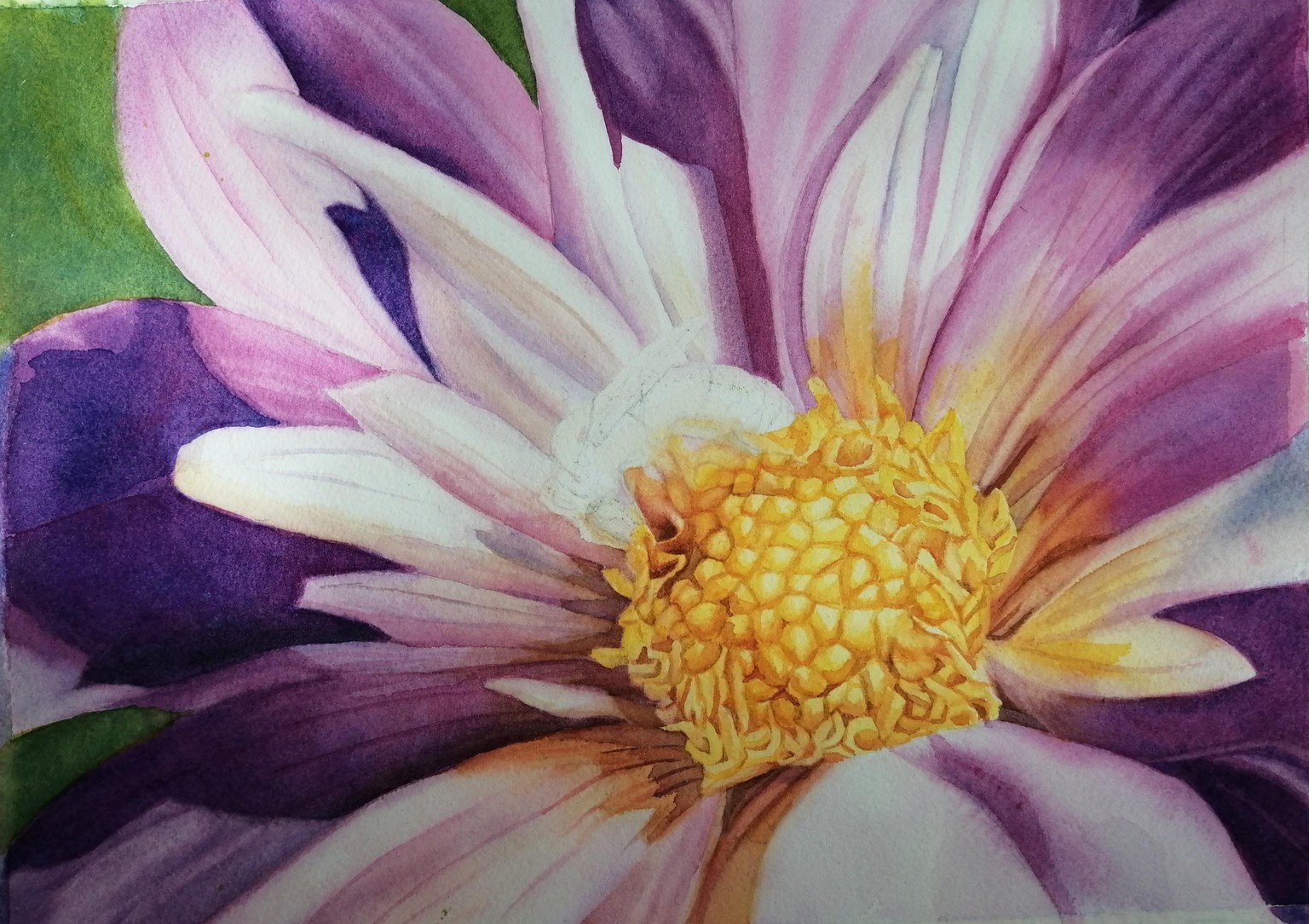 Abeille occupée - image 2 - student project