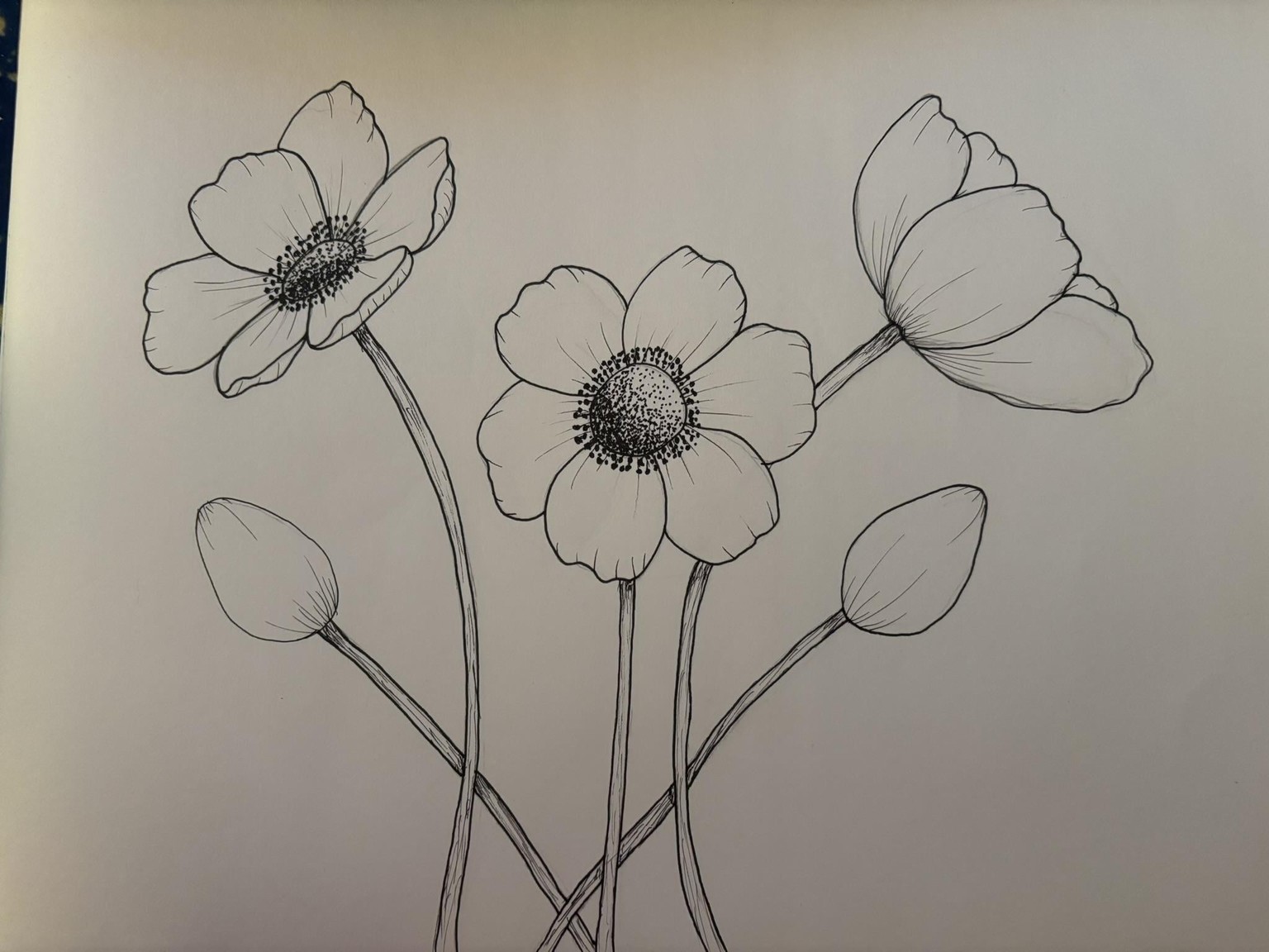 Flower Drawings - image 2 - student project