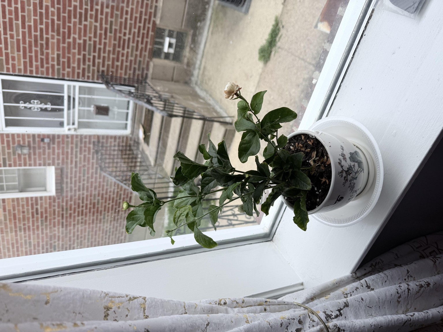 Start small by planting - image 1 - student project