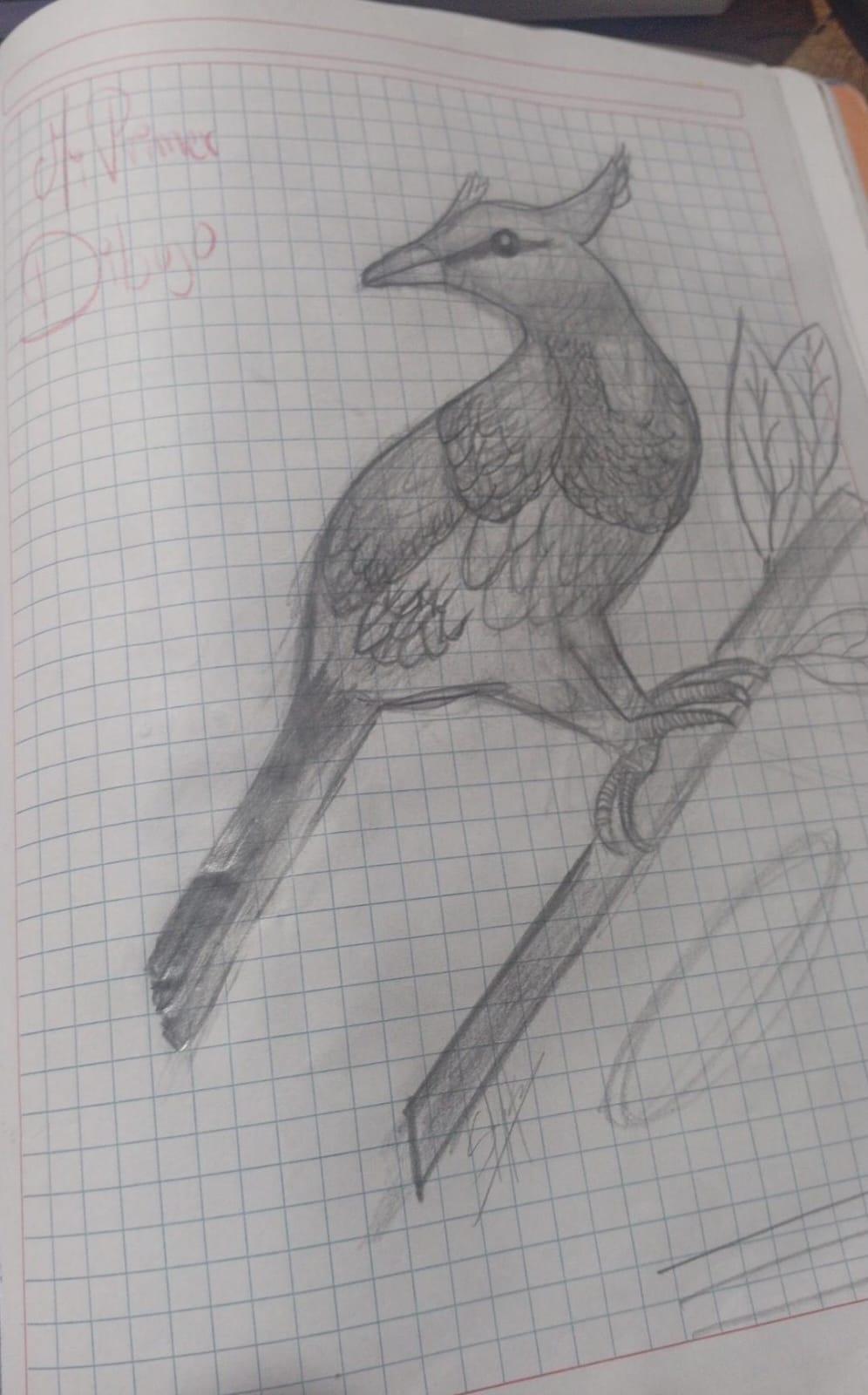 mi primera vez dibujando - image 2 - student project