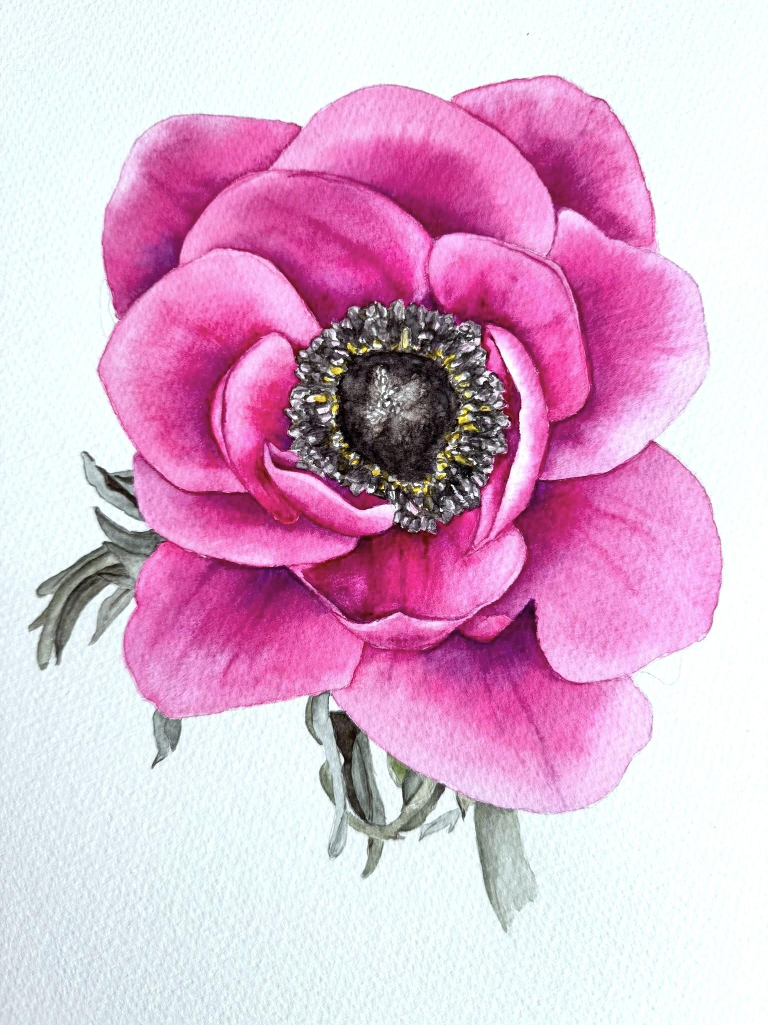 Pink Anemone - image 1 - student project