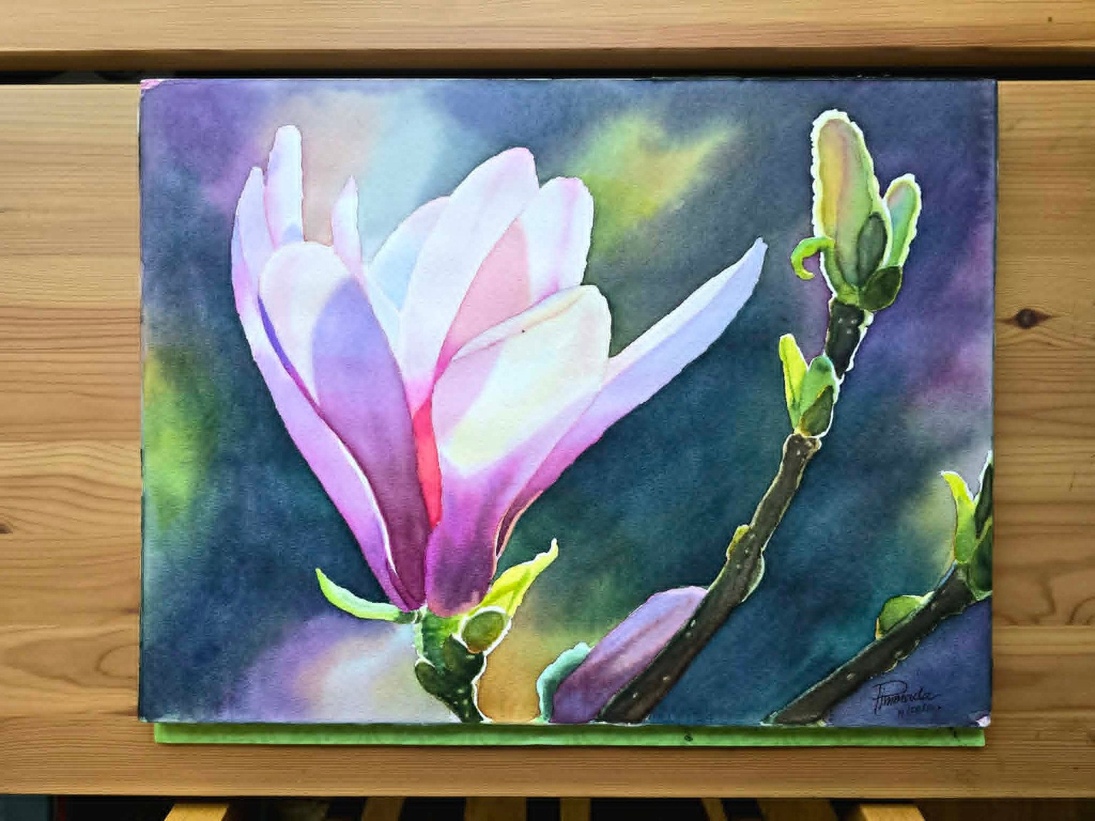 Magnolia - image 1 - student project