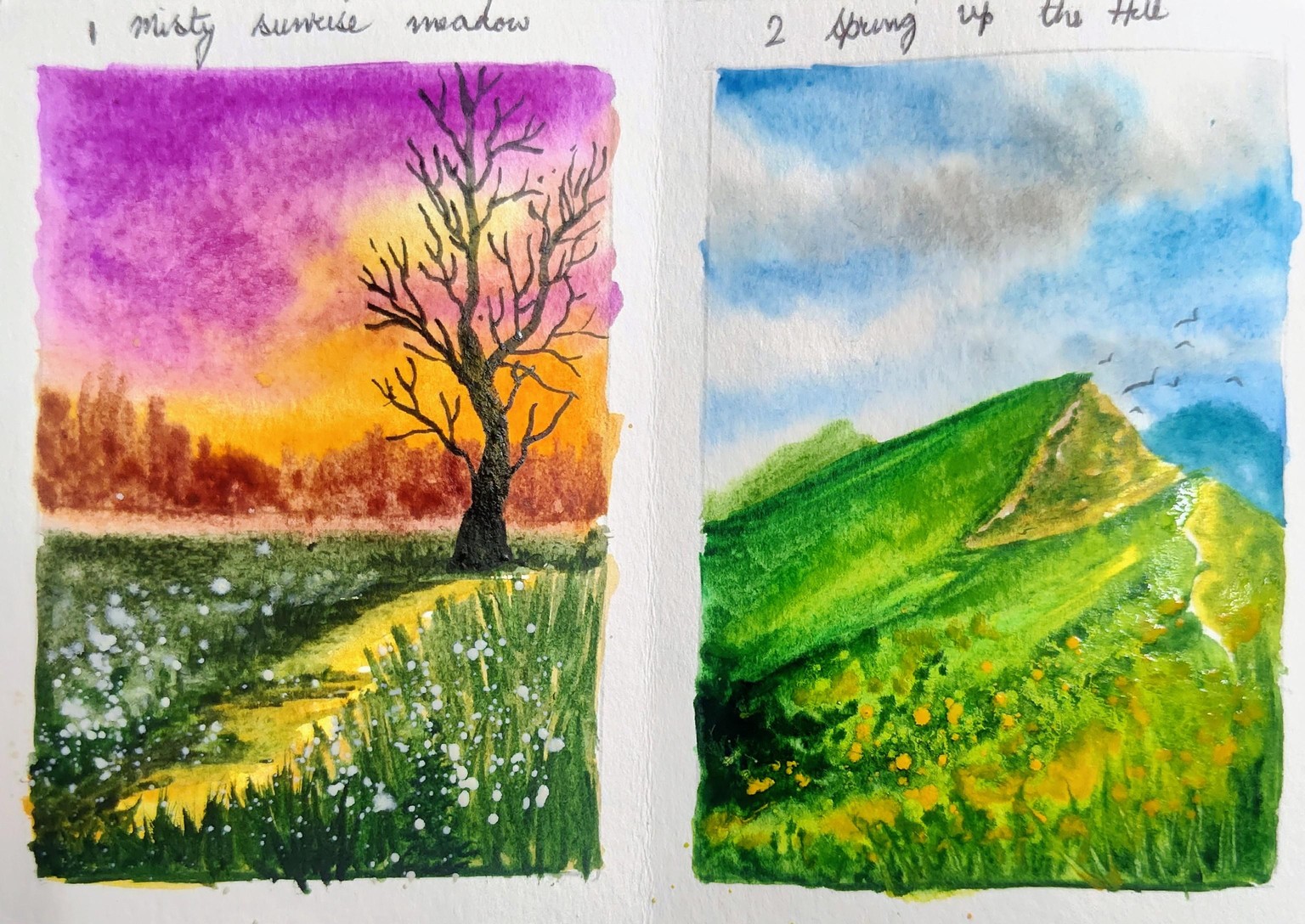 5 spring watercolor landscape with Nilam - image 3 - student project