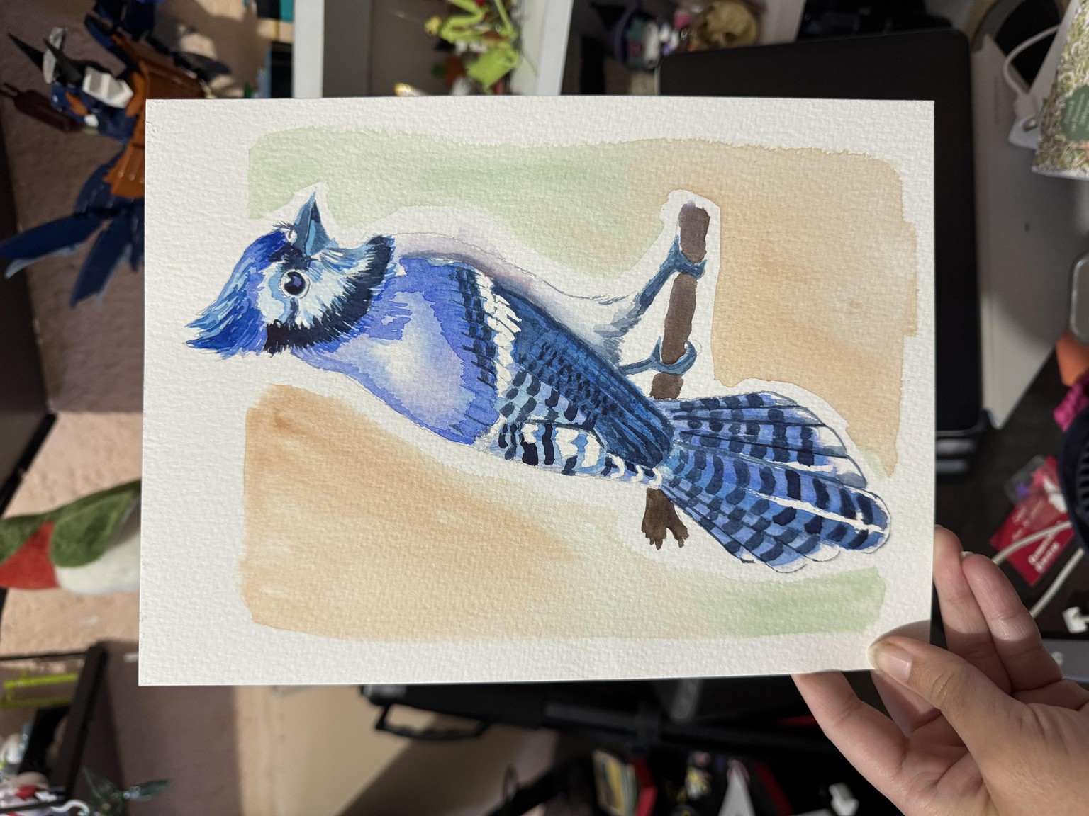 Blue Jay - image 1 - student project