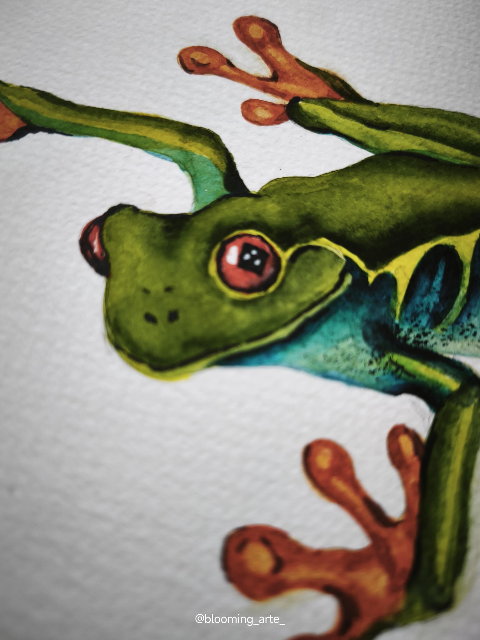 Watercolor Tree Frog - image 2 - student project