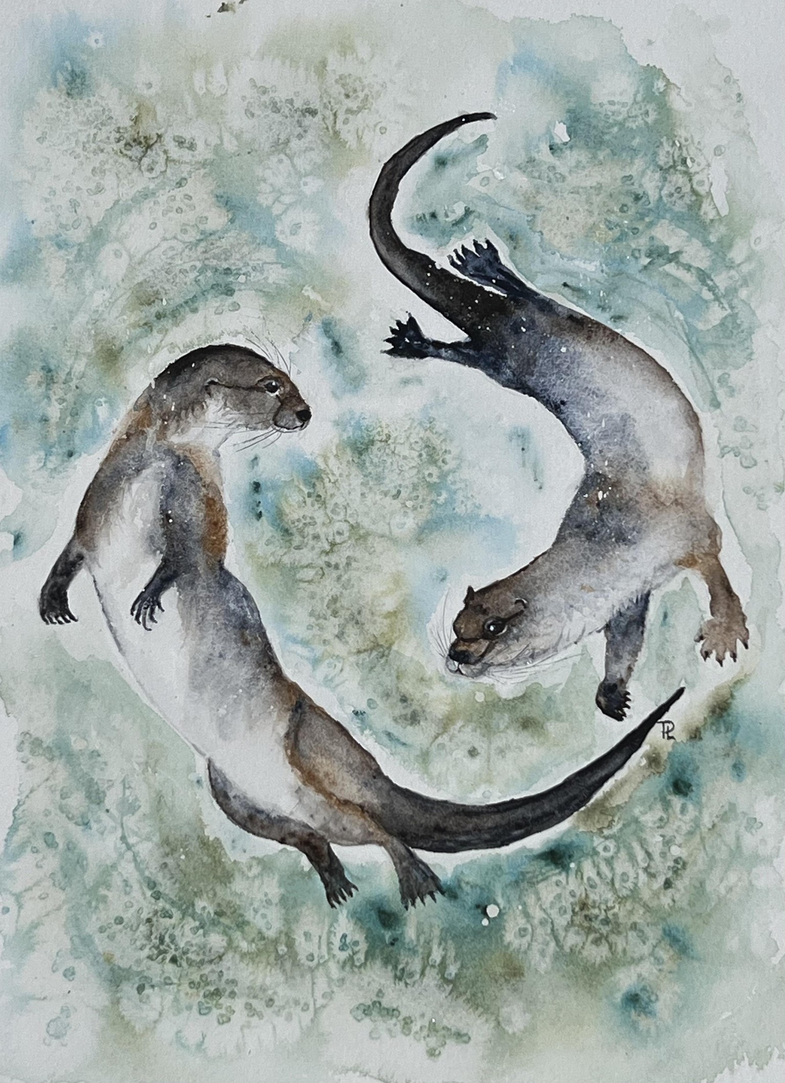 Otters - image 1 - student project
