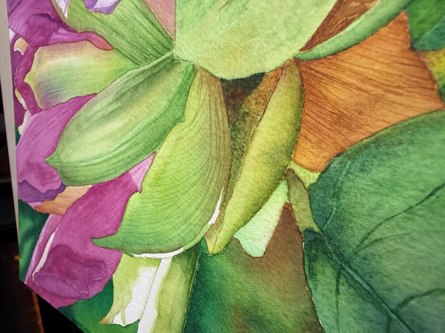 Rhododendron - image 3 - student project
