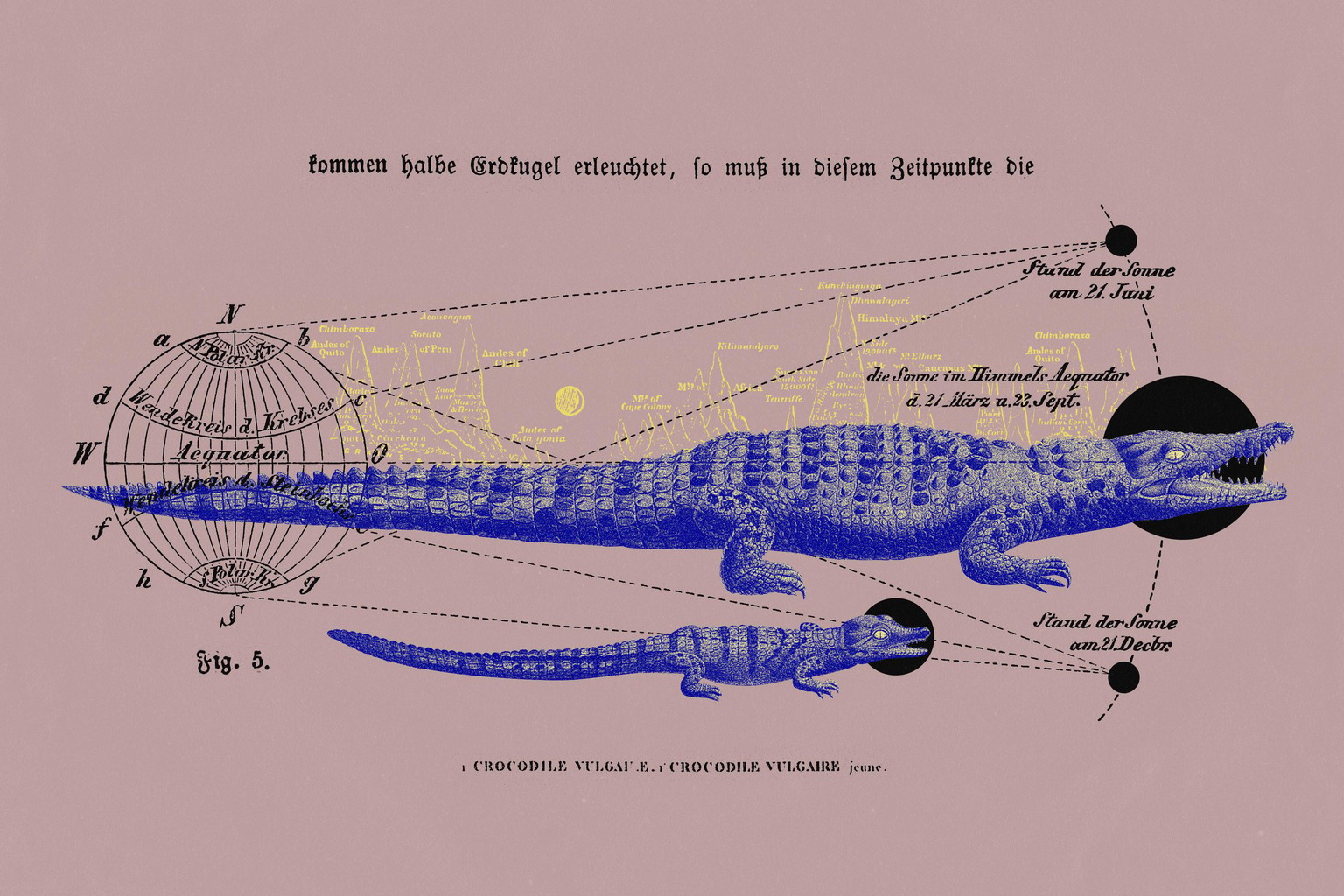 Celestial Crocodile - image 4 - student project