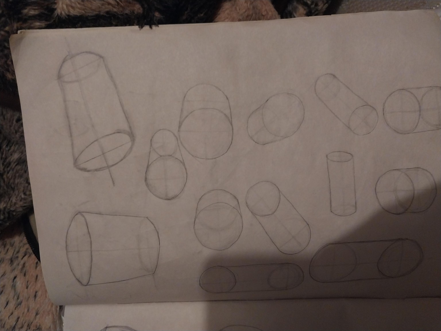Drawing in 3D P2 - image 3 - student project