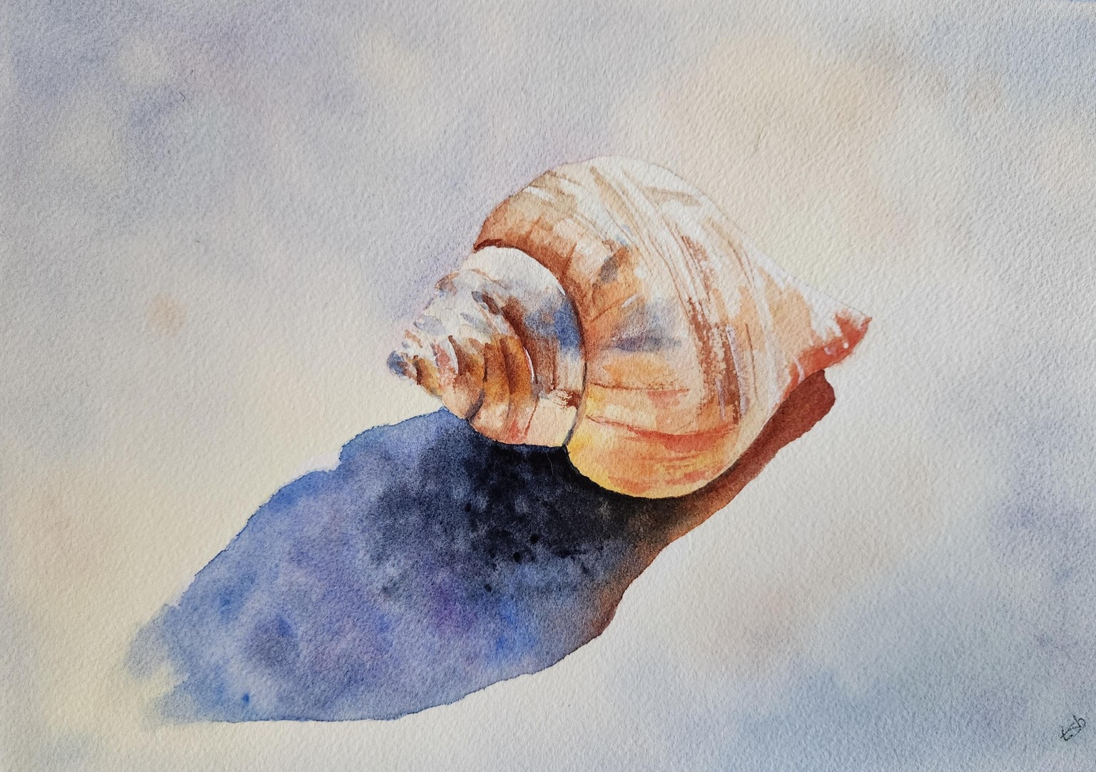 Shell with Will - image 1 - student project