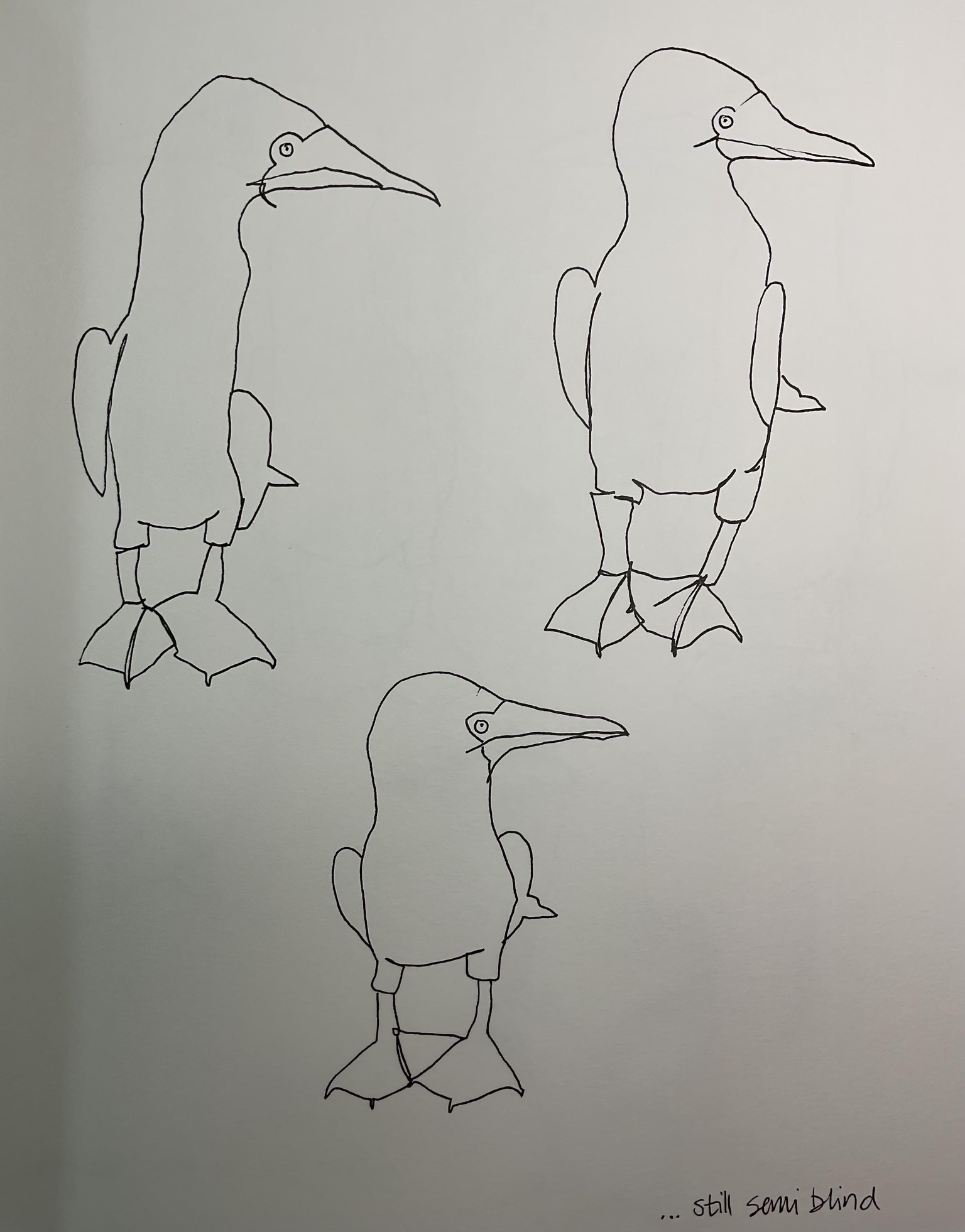 Contour drawing - image 4 - student project