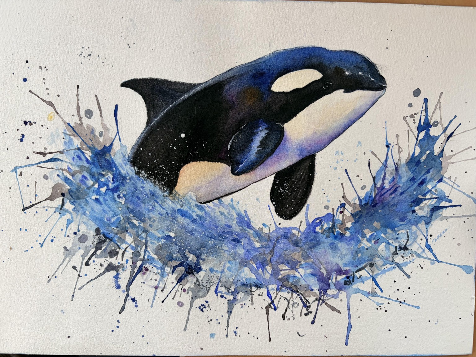 Orca - image 1 - student project